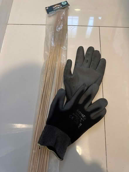 Photo of free Plant support sticks & gloves (CO4 9 Colchester) #1