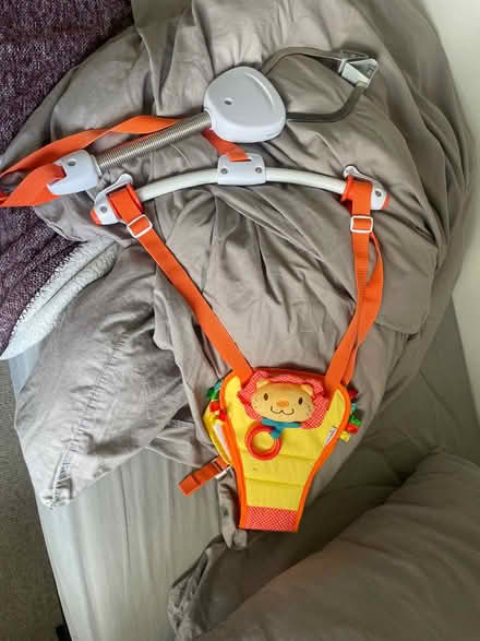 Photo of free Baby door bouncer (Kew TW9) #1