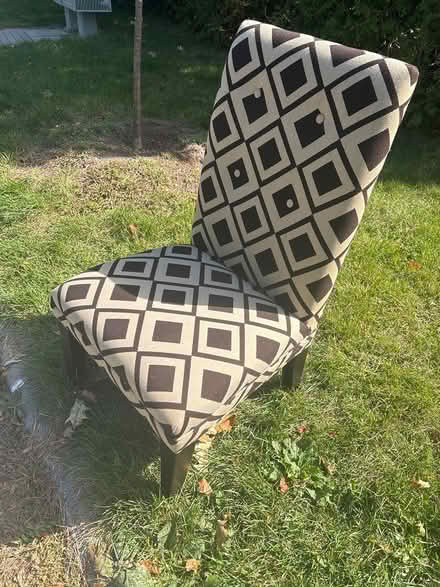 Photo of free Chair (Ottawa west - Copeland Park) #1