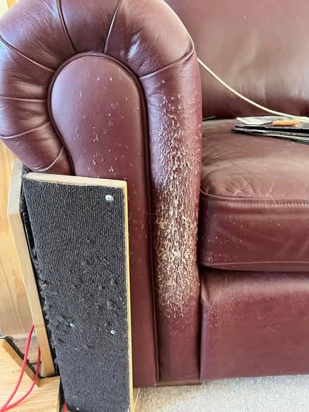 Photo of free 2-seat leather sofas (Walton) #4