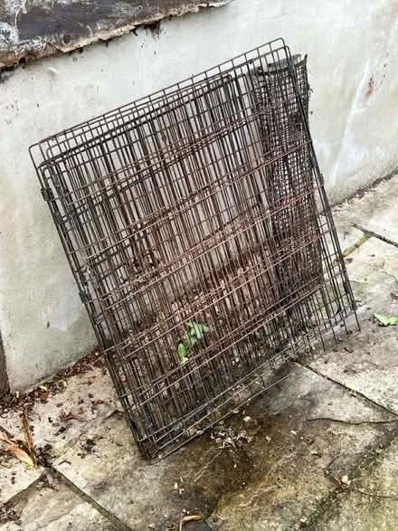 Photo of free Cage (Crystal Palace) #1
