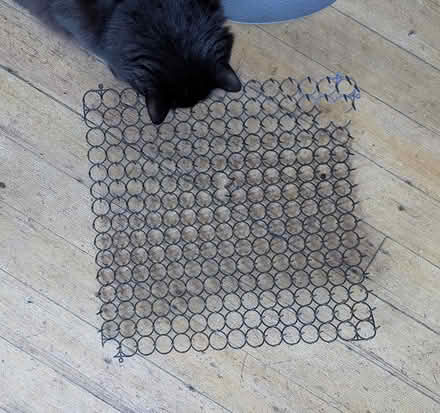 Photo of free Cat puzzles, etc (oakland) #4