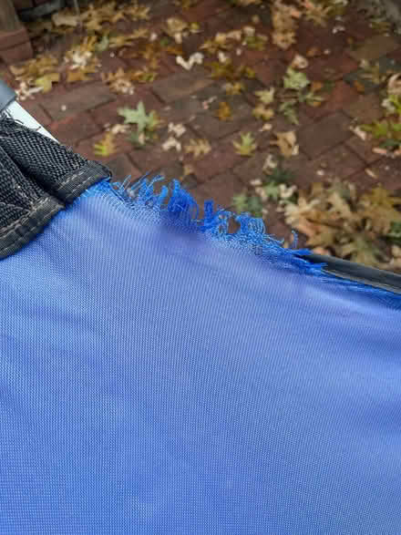 Photo of free Hammock with built-in stand (Eastern Market) #4