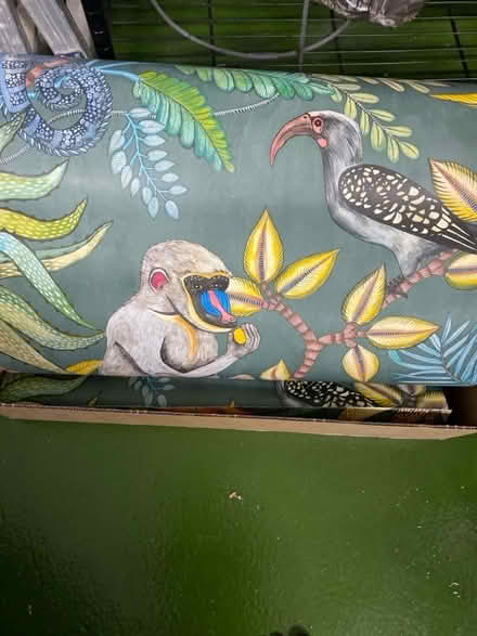 Photo of free 2x Cole & Son rolls designer wallpaper (St Albans AL3) #1