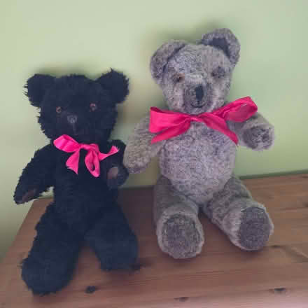 Photo of free 2 teddy bears (Clive Vale TN35) #1