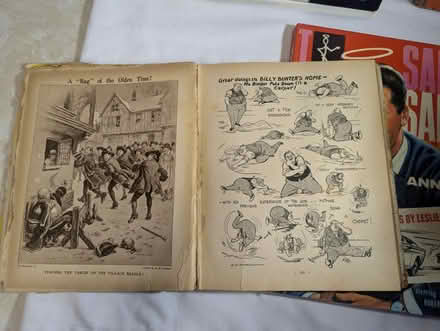 Photo of free 5 Old annuals (Apsley HP3 0) #1