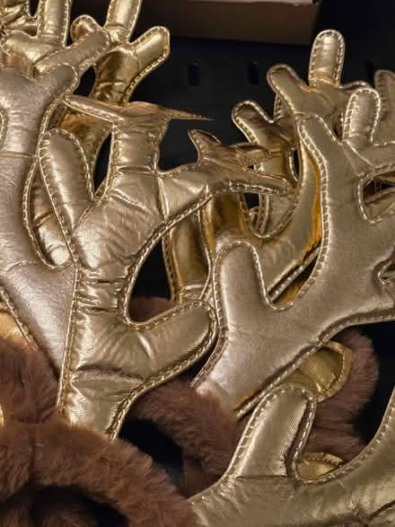 Photo of free Reindeer antlers (North Shields NE30) #2
