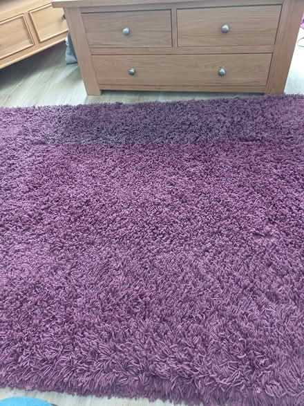 Photo of free Rug (Hollybush NP44) #1