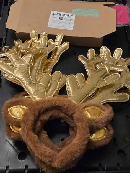 Photo of free Reindeer antlers (North Shields NE30) #1