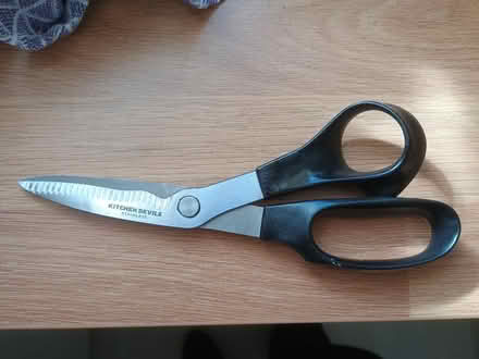 Photo of free Scissors (Barming Heath ME16) #1