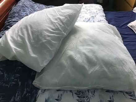 Photo of free Large Cushion Pads (Blackhall EH 4) #1