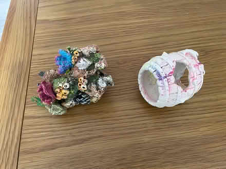 Photo of free 2 fish Aquarian ornaments (Off Chignal road CM1) #1