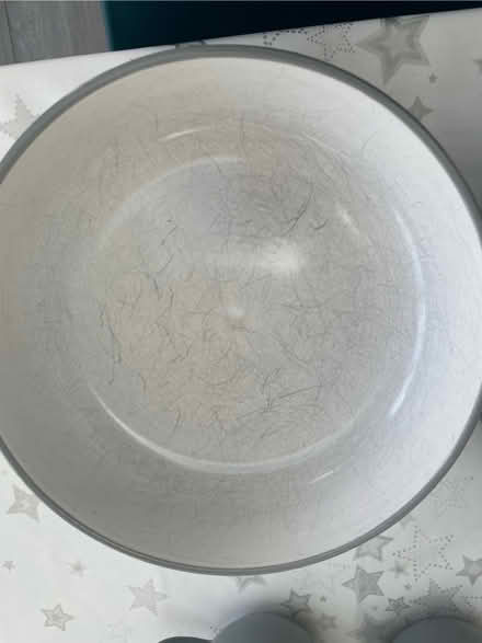 Photo of free Plates & bowls & mugs (North Gyle EH12) #3