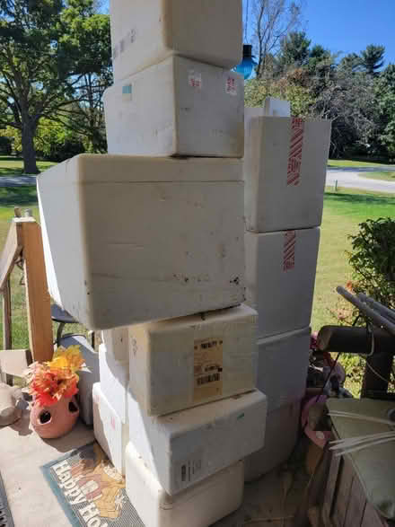 Photo of free Styrofoam coolers (Bunton/Willow) #1