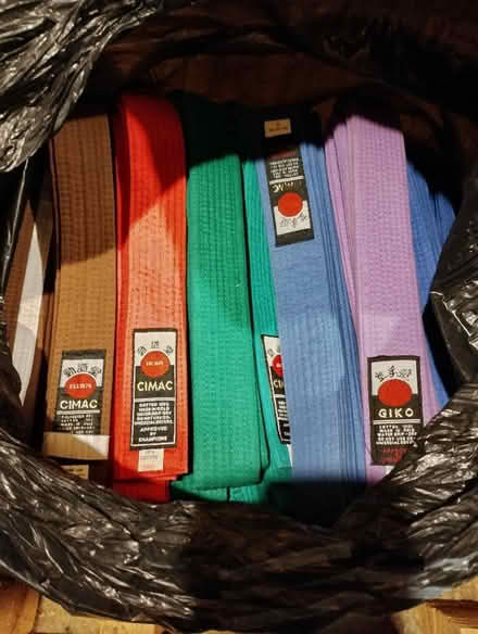 Photo of free Karate belts. (Langley SL3) #1