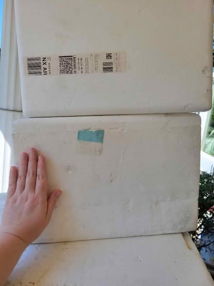 Photo of free Styrofoam coolers (Bunton/Willow) #2