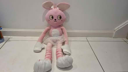 Photo of free Cuddly Bunny (Locksheath SO31) #1