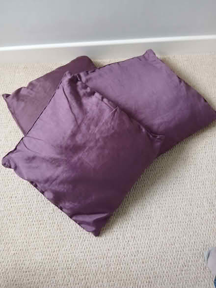Photo of free Purple cushions (Wenslade Park EX5) #1