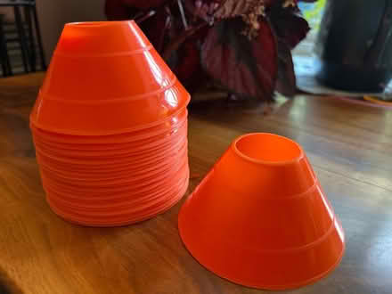 Photo of free Mini cones (Ashby) #2