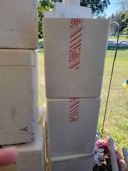Photo of free Styrofoam coolers (Bunton/Willow) #3