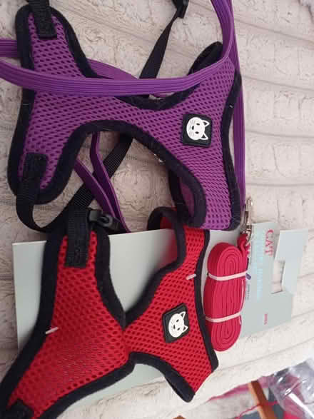 Photo of free 2 cat leads and harness (Malvern Link WR14) #1