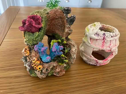 Photo of free 2 fish Aquarian ornaments (Off Chignal road CM1) #2