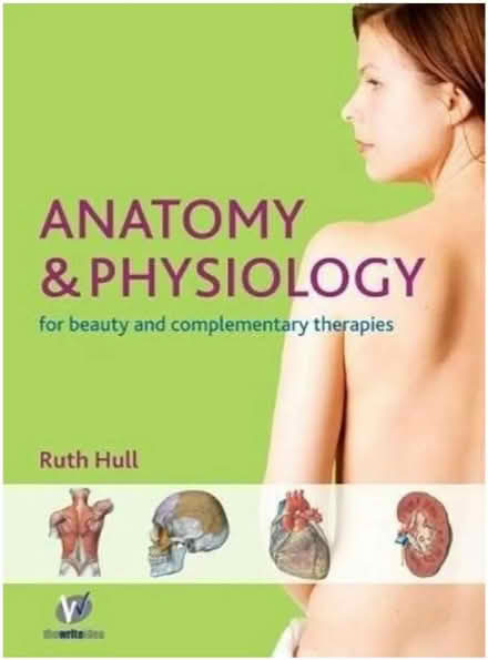 Photo of Anatomy & Physiology for Therapist (Ealing, W5) #1