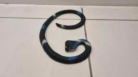 Photo of free Toy snake (Locksheath SO31) #1