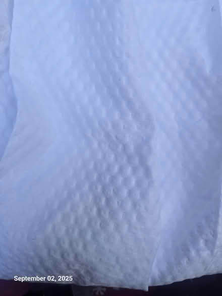 Photo of free Kids coats & Shower curtain (NE Lancaster near Safeway) #1