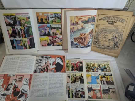 Photo of free 5 Old annuals (Apsley HP3 0) #3