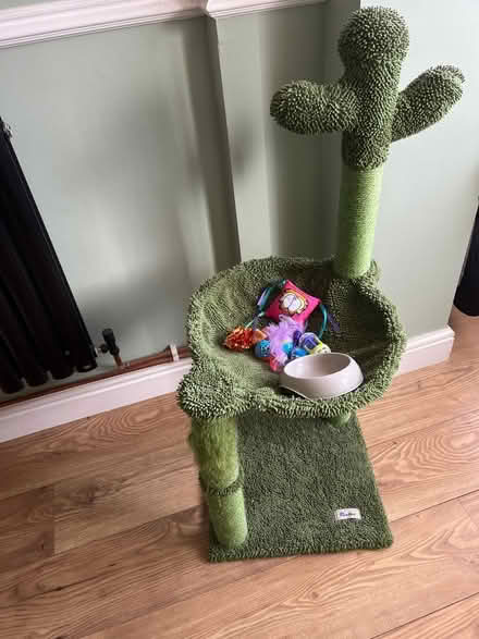 Photo of free Cat tree and bits (Merton OX25) #1