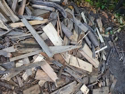 Photo of free Firewood/ Kindling (Fircrest) #1