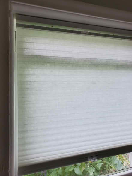 Photo of free Cellular shades 39 in. New (8 Mile & Dequindre) #1