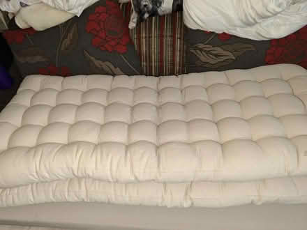 Photo of free Garden cushions (Penarth CF64) #2