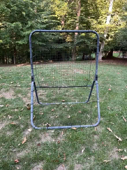 Photo of free Ball Return (Dunlora) #1