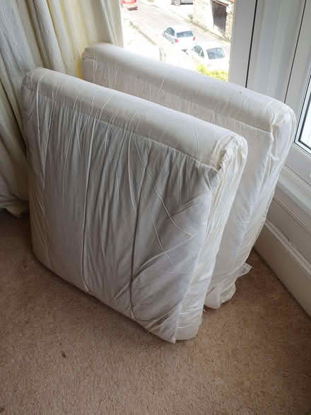 Photo of free Sofa Cushions (Falmouth TR11) #1