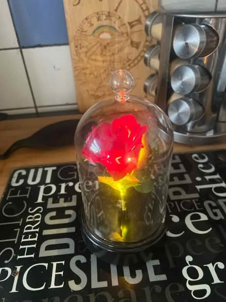 Photo of free Beauty and the beast light (Long ditton) #2