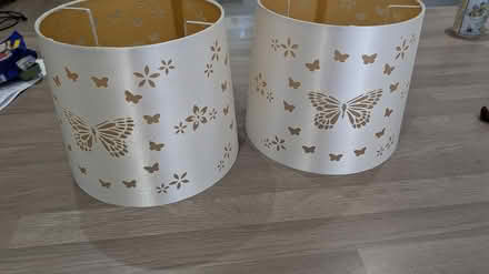 Photo of free Lampshades (Huntley) #2
