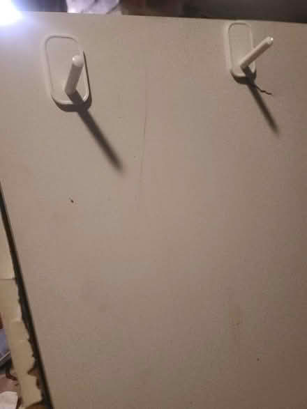 Photo of free Used single white cabinet (Suitland) #2