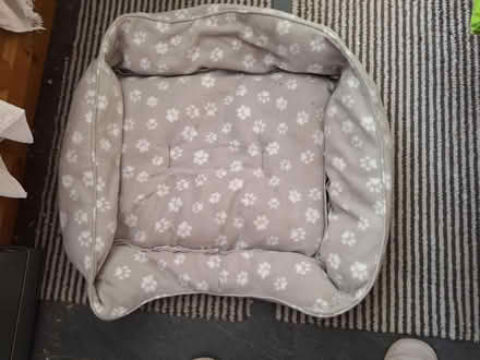 Photo of free Dog/cat beds (Penarth CF64) #2