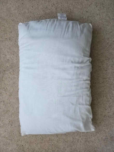 Photo of free Slumber down pillow (Chadderton) #1