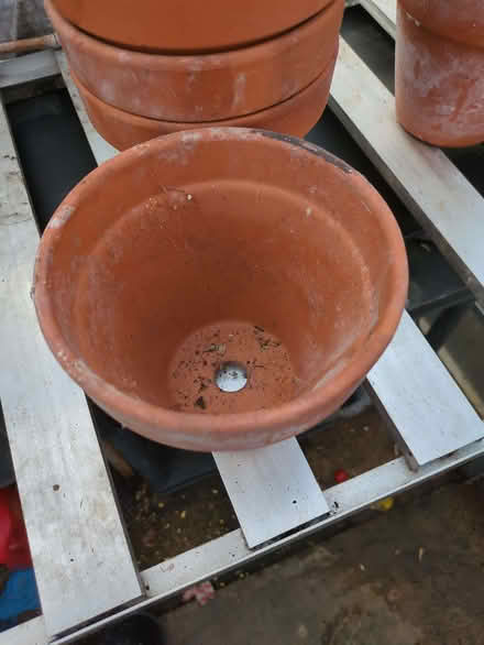 Photo of free Terracotta plant pots (Westgate LA4) #2