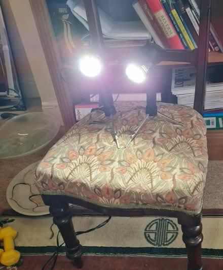 Photo of free Photographic lights (mini) (Henley-on-Thames RG9) #1