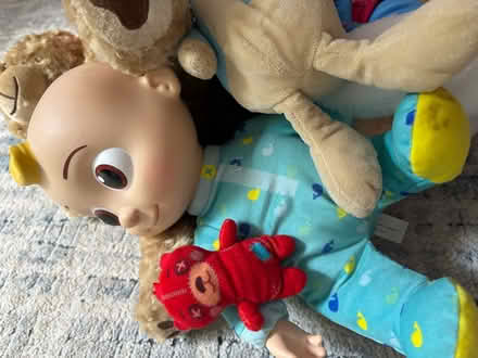 Photo of free Soft toy bundle (Kenilworth CV8) #2