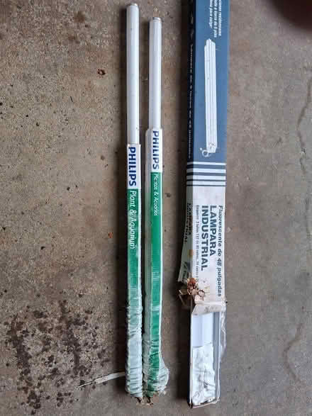 Photo of free 4 ft light fixture with grow bulbs (Townsend) #1