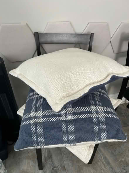 Photo of free Decorative pillows (Congress Heights, SE DC) #4