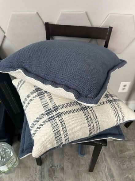 Photo of free Decorative pillows (Congress Heights, SE DC) #3