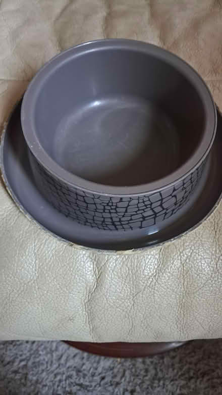 Photo of free Pet bowl (Holloway road N4) #1