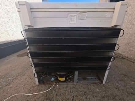 Photo of free Chest freezer (Stonehaven AB39) #4