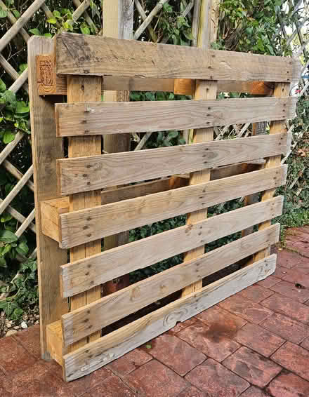 Photo of free Wooden Pallet (Freshbrook SN5) #1